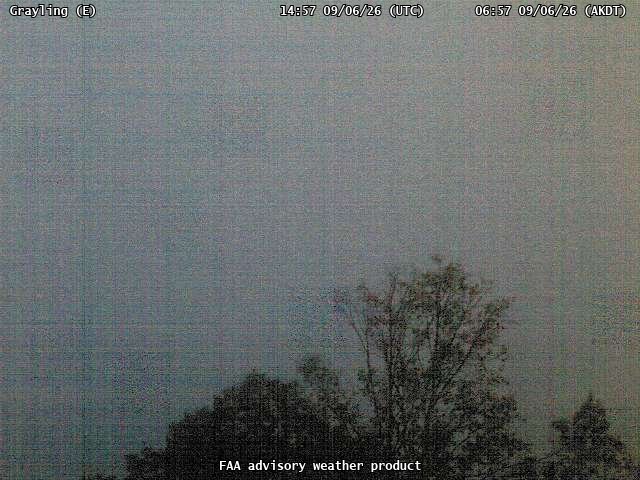 Grayling — East live camera view