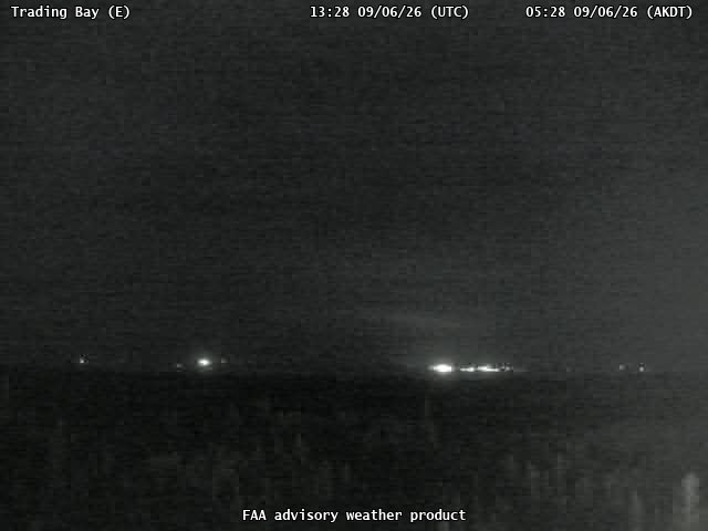 Trading Bay — East live camera view