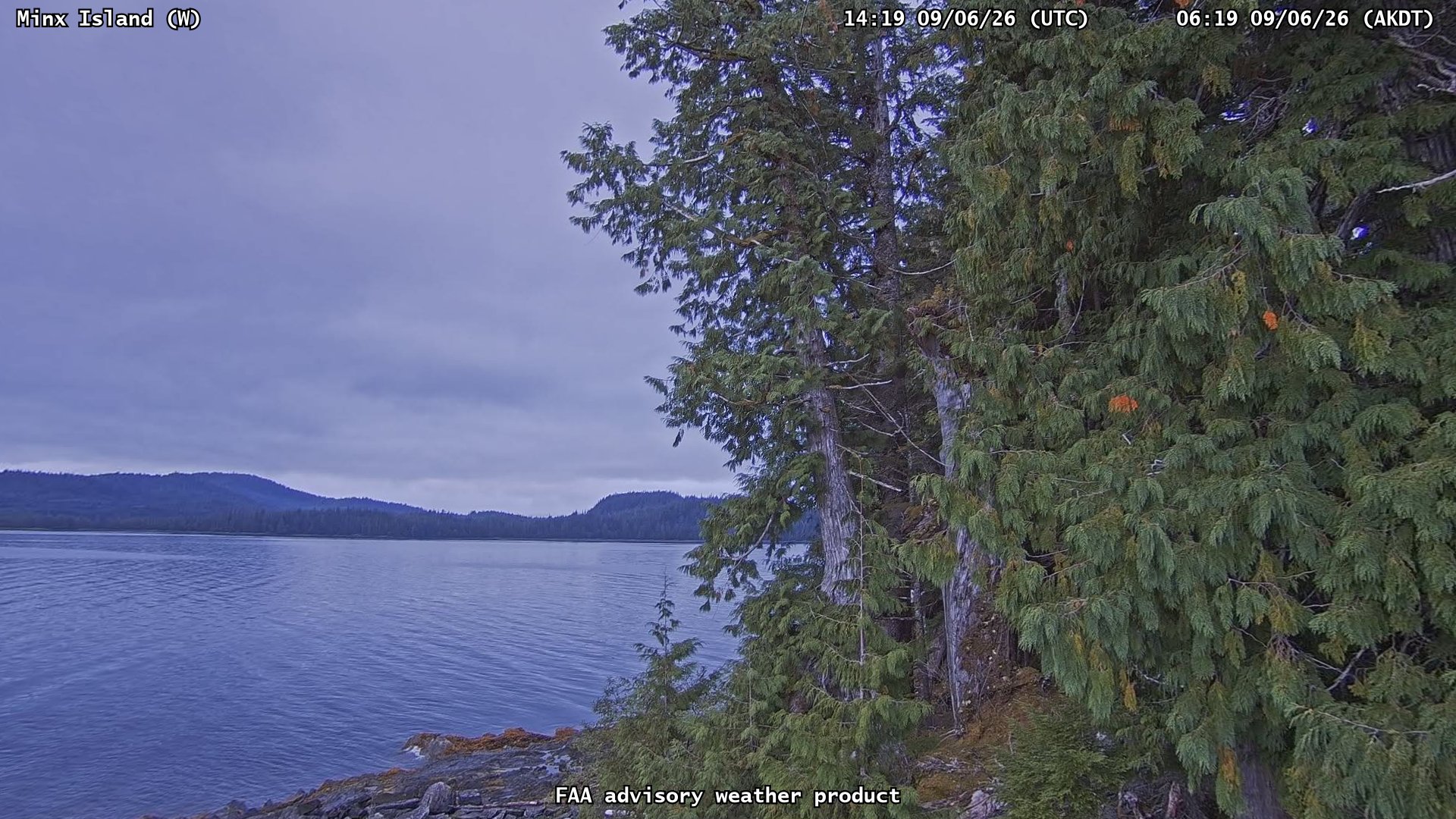 Minx Island — West live camera view