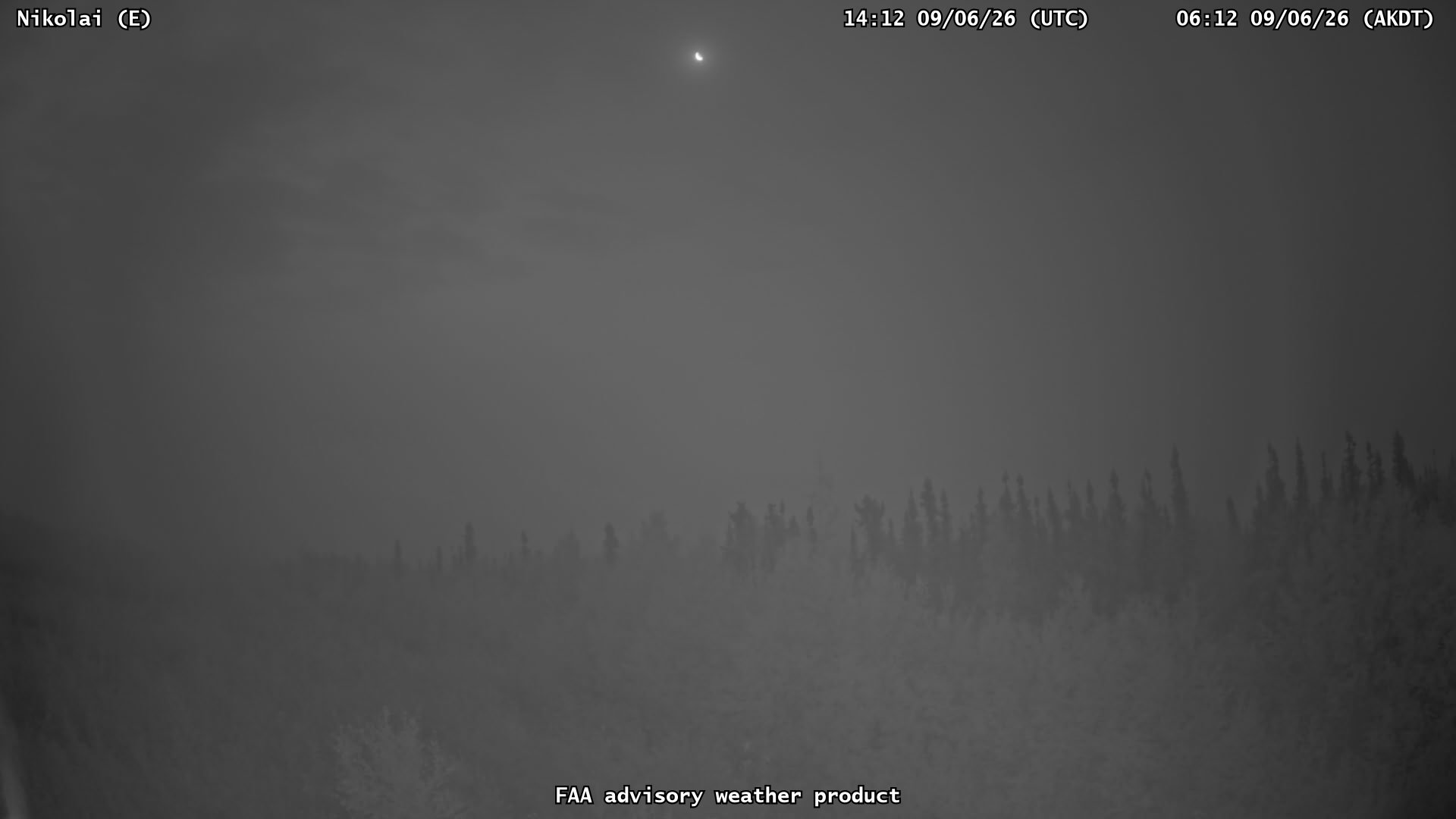 Nikolai — East live camera view