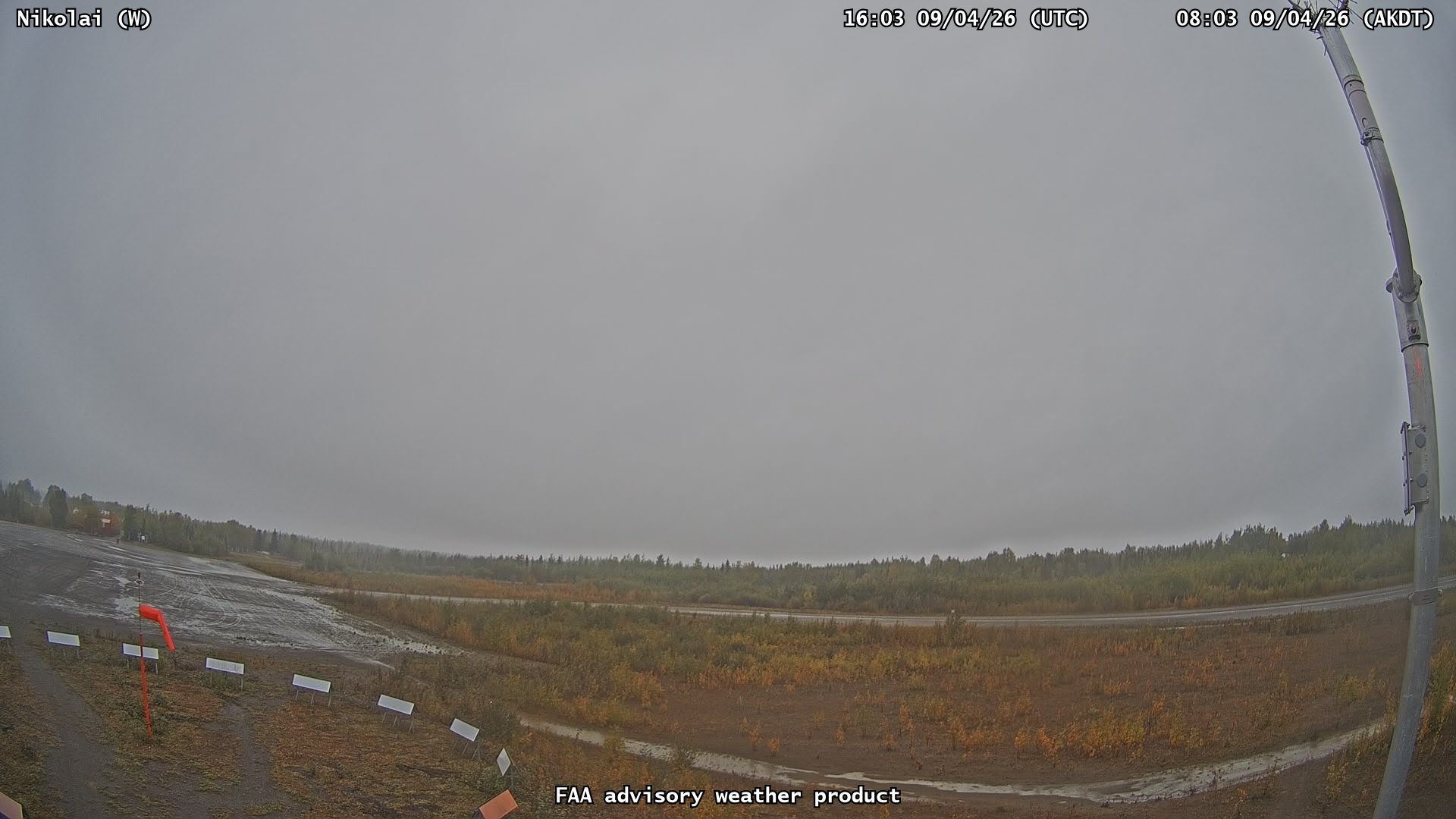 Nikolai — West live camera view