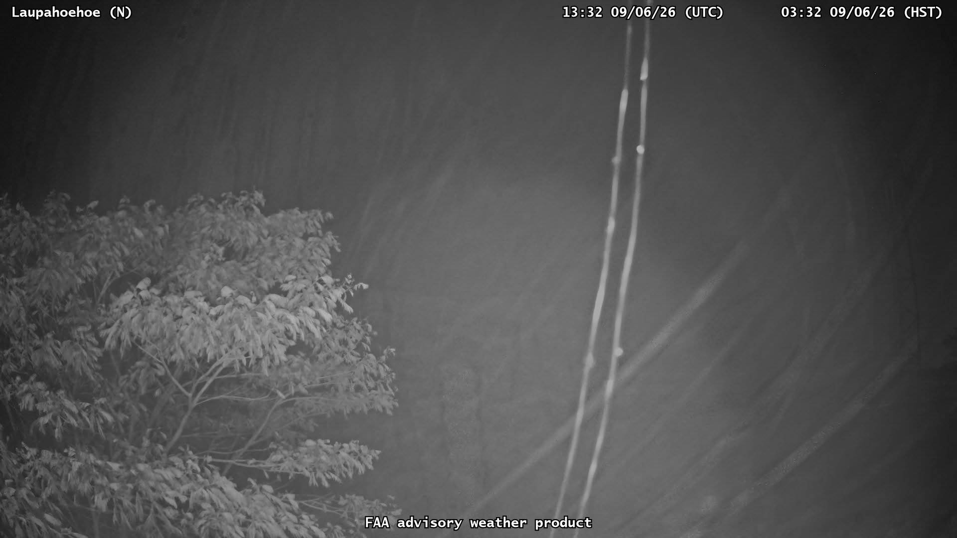 Laupahoehoe — North live camera view