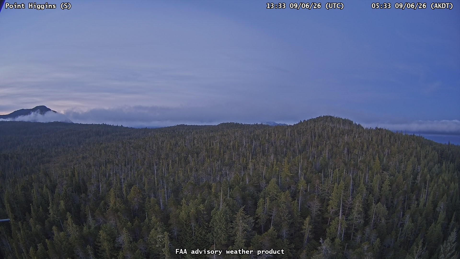 Point Higgins — South live camera view