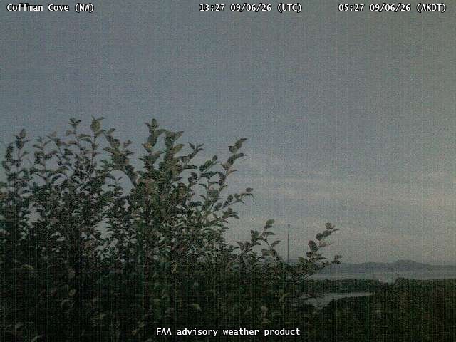 Coffman Cove — NorthWest live camera view