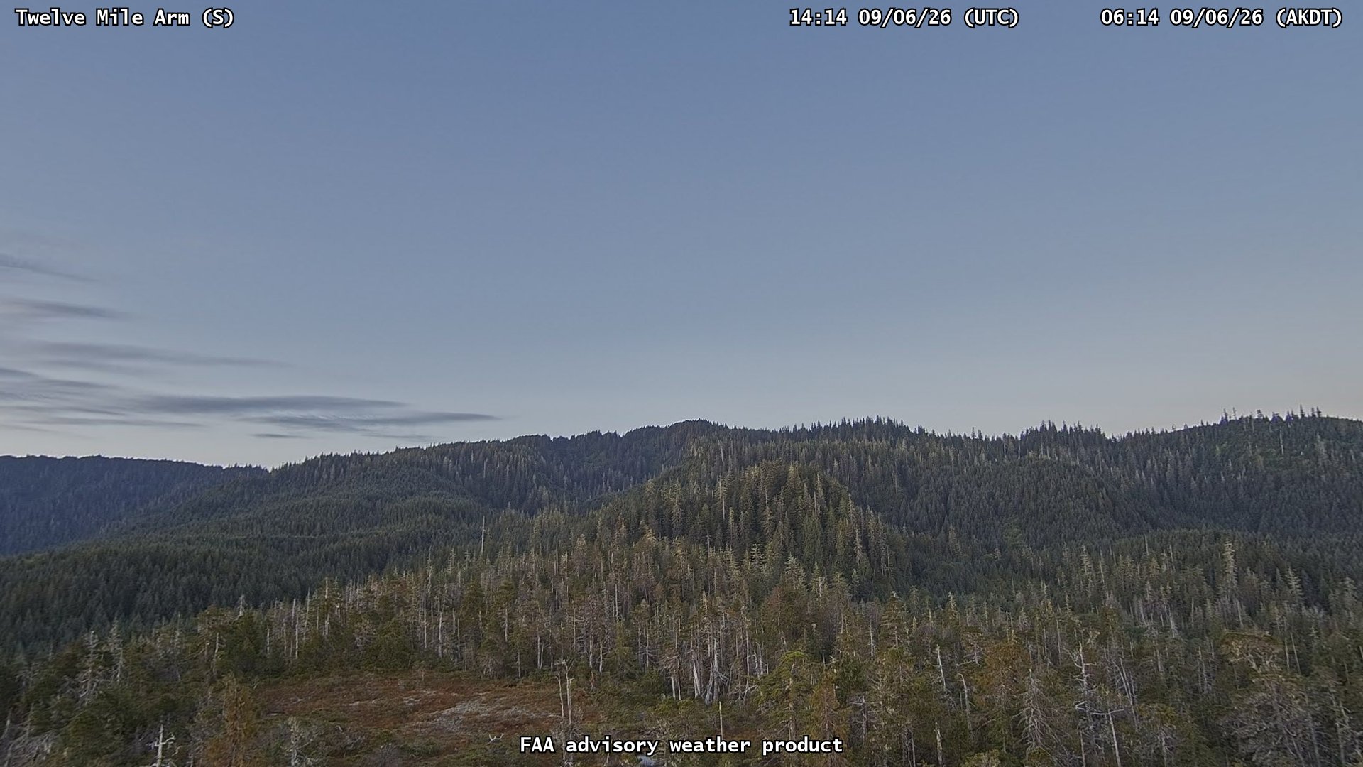 Twelve Mile Arm — South live camera view