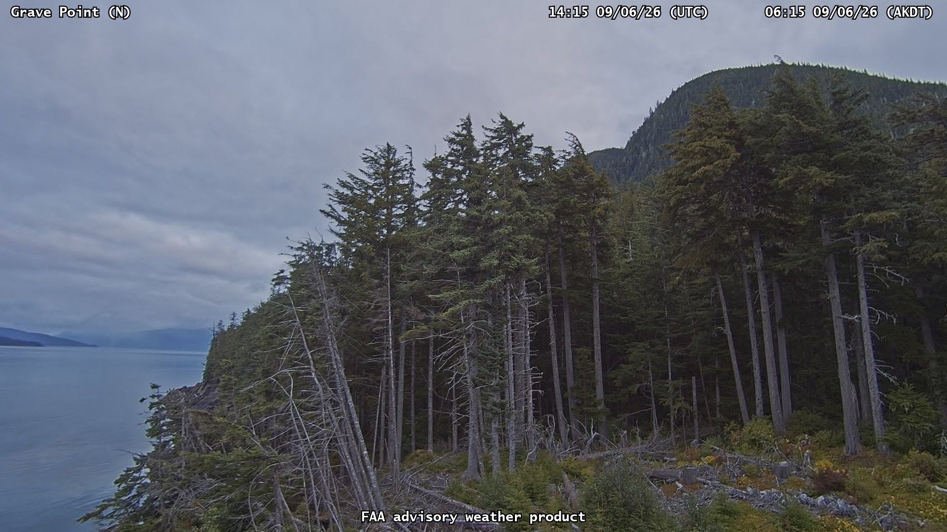 Grave Point — North live camera view