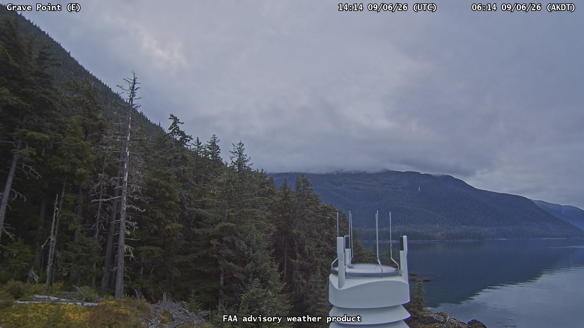 Grave Point — East live camera view