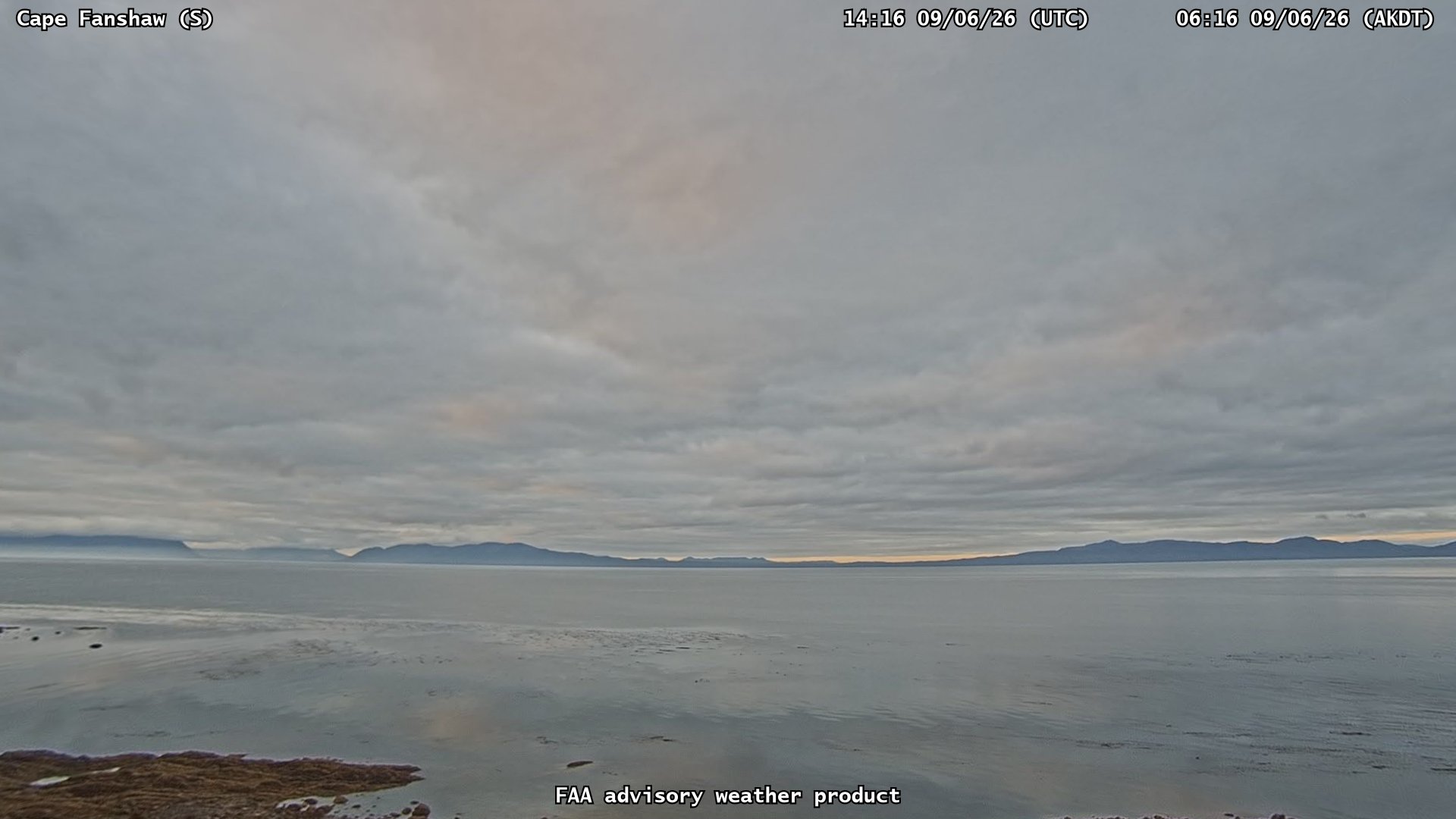 Cape Fanshaw — South live camera view