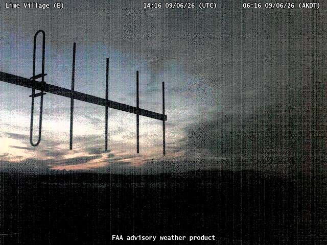 Lime Village — East live camera view