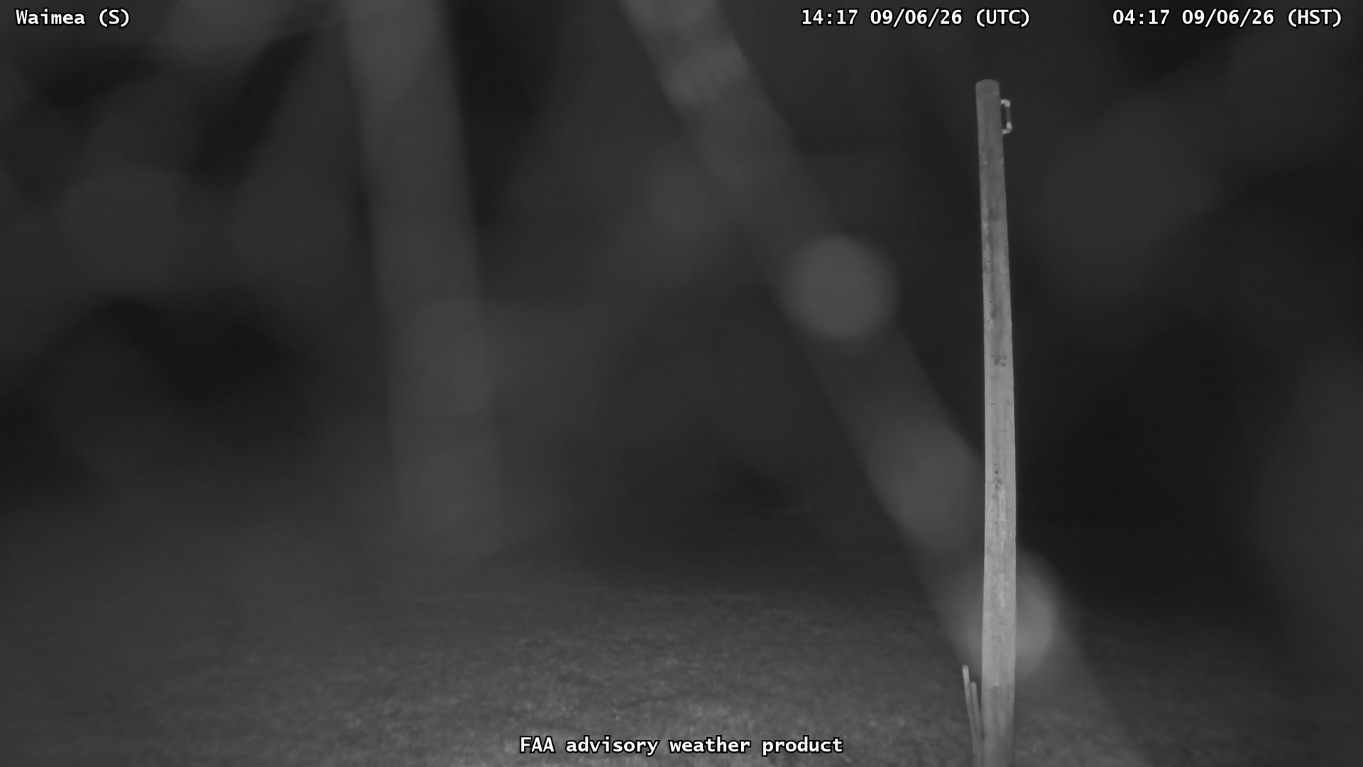 Waimea — South live camera view