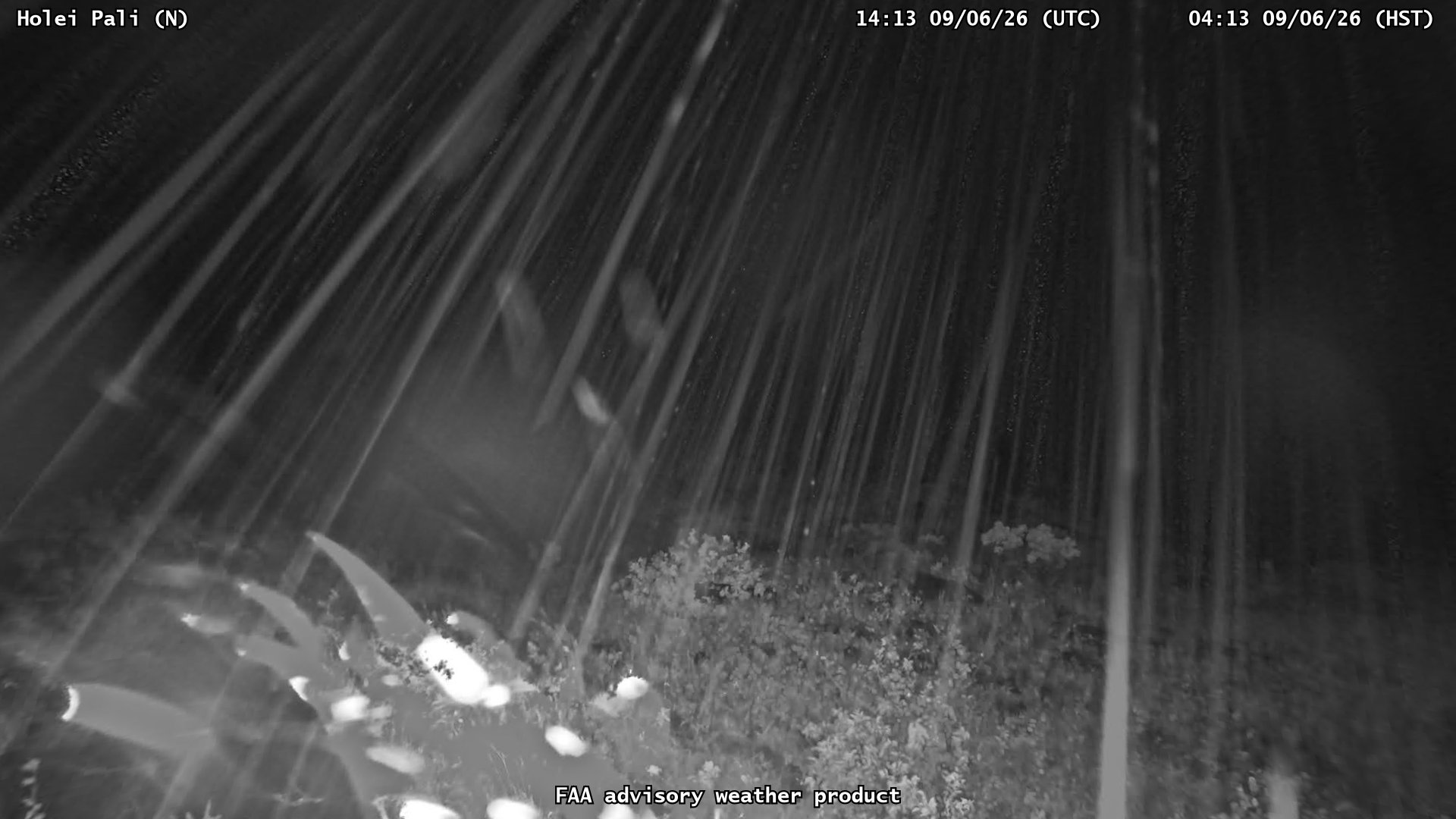 Holei Pali — North live camera view