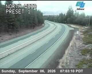 North Weed live camera view