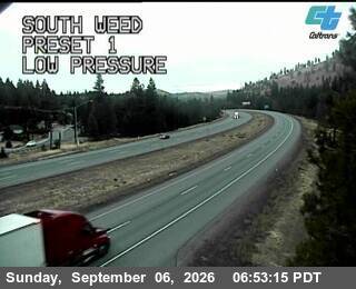 South Weed live camera view
