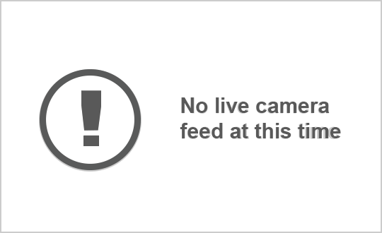 SR 154/Memorial Dr at Columbia Dr live camera view