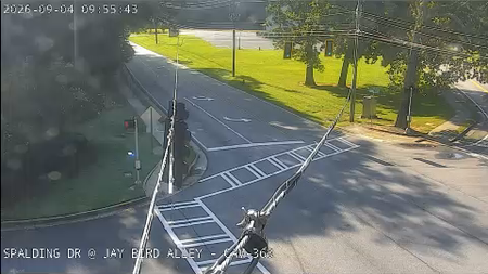 Spalding Dr at Jay Bird Alley live camera view