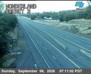 Wonderland live camera view