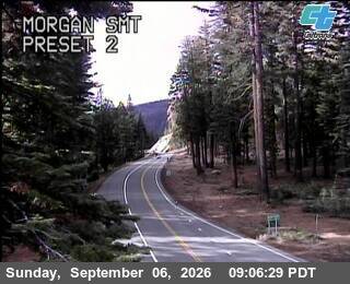 Morgan Smt live camera view