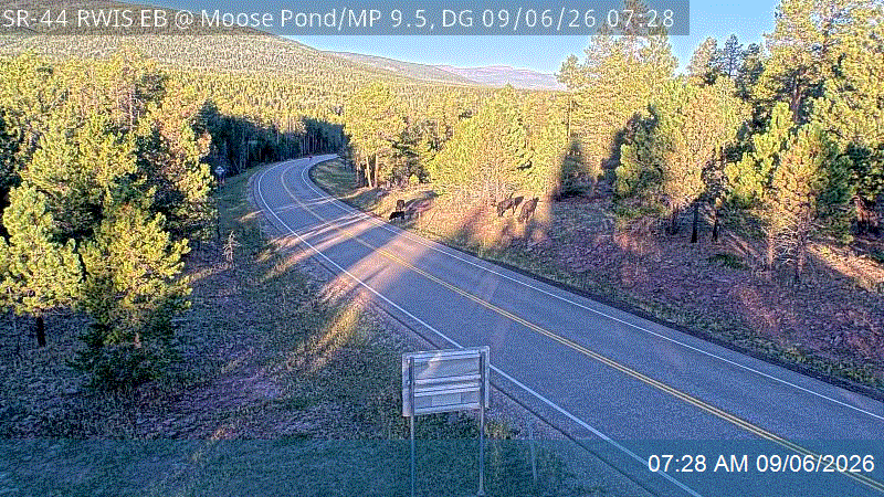 SR-44 RWIS EB @ Moose Pond / MP 9.5, DG live camera view