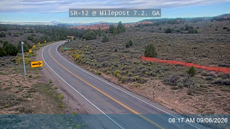 SR-12 @ Milepost 7.25, GA live camera view