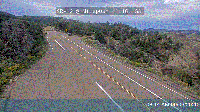 SR-12 @ Milepost 41.16, GA live camera view