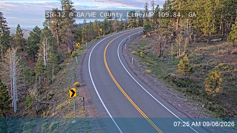 SR-12 @ GA/WE County Line / MP 109.84, GA live camera view
