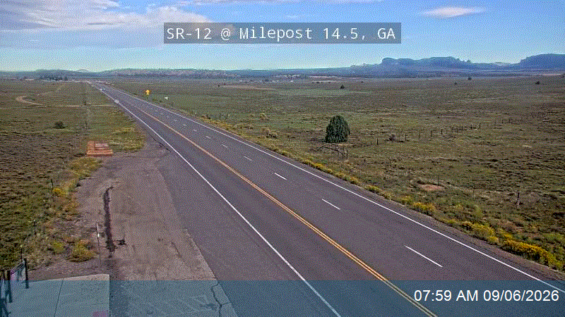SR-12 @ Milepost 14.5, GA live camera view