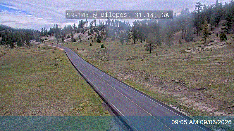 SR-143 @ Milepost 31.14, GA live camera view