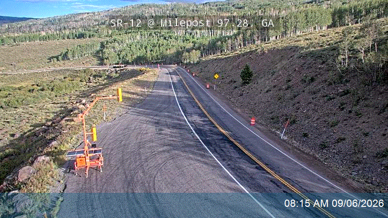 SR-12 @ Milepost 97.28, GA live camera view