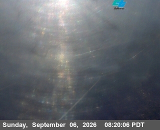 48 - EB SR 12 Brannan Island Rd RWIS live camera view