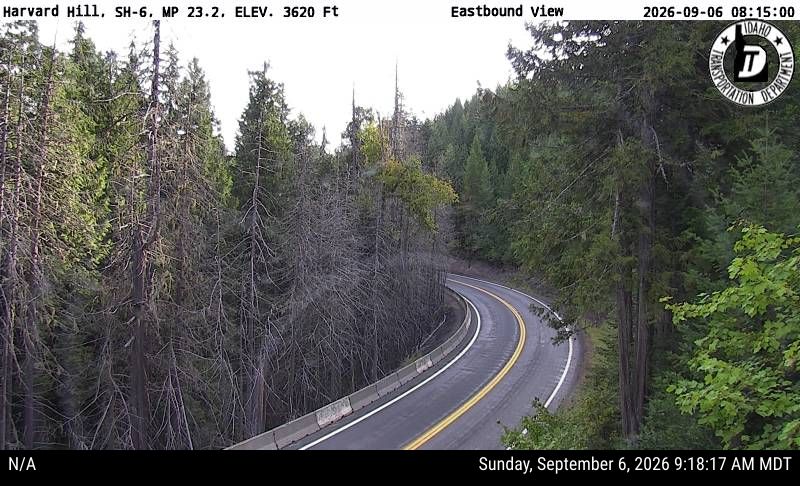 SH-6 Harvard Hill live camera view
