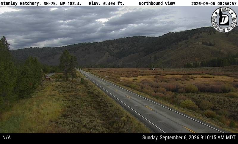 SH-75 Stanley Hatchery live camera view