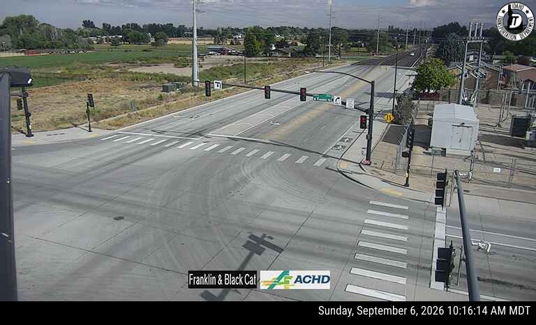 Franklin & Black Cat live camera view