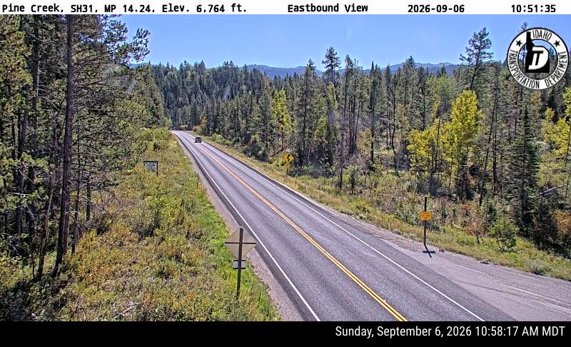 SH-31 Pine Creek live camera view