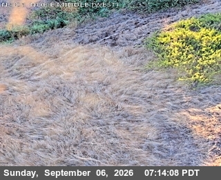 US-101 : South Of Tenant Avenue live camera view
