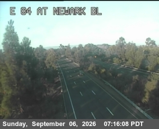 SR-84 : W84 at Newark Bl live camera view